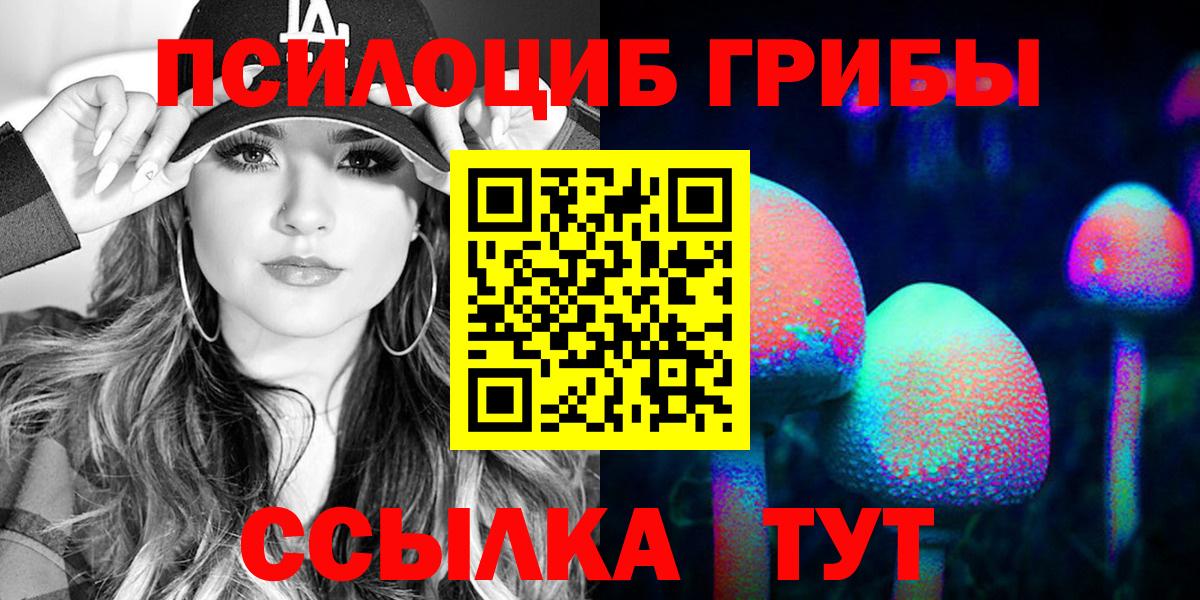 Елец  Галлюциногенные грибы Magic Shrooms  Вход с VPN 